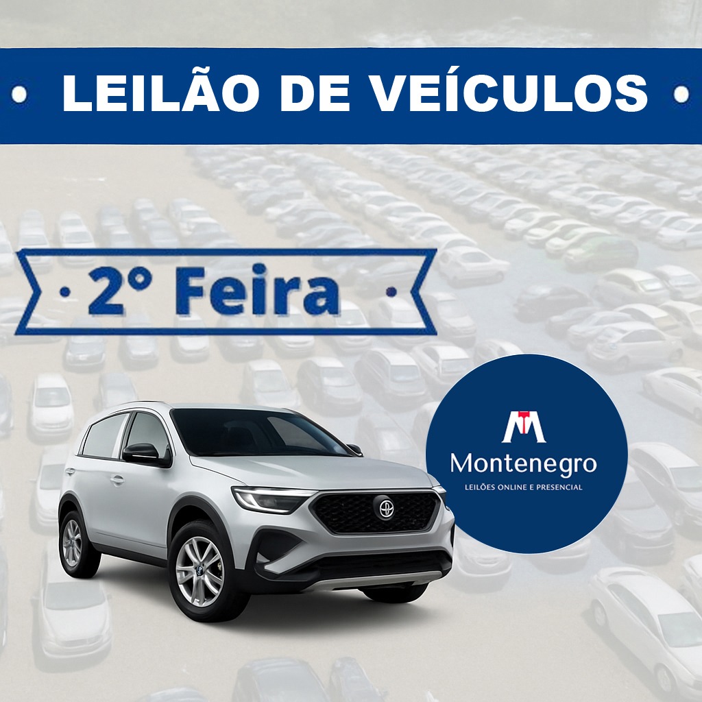 Leilão de Veiculos / Segunda - Feira 19/05/2025