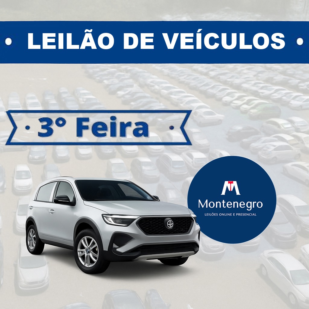 Leilão de Veiculos / Terça - Feira 20/05/2025