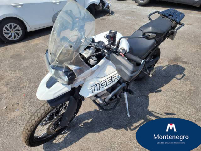 TRIUMPH TIGER 20/20